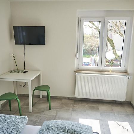 Greenhome Loerrach -Ihre Unterkunft Im 3-Laendereck- Екстер'єр фото