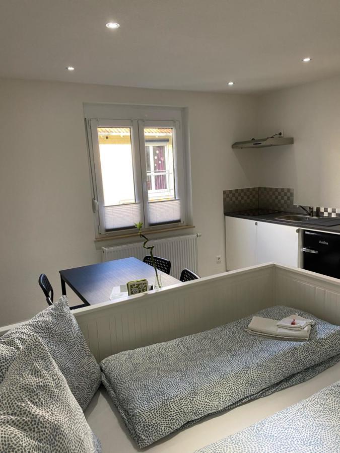 Greenhome Loerrach -Ihre Unterkunft Im 3-Laendereck- Екстер'єр фото